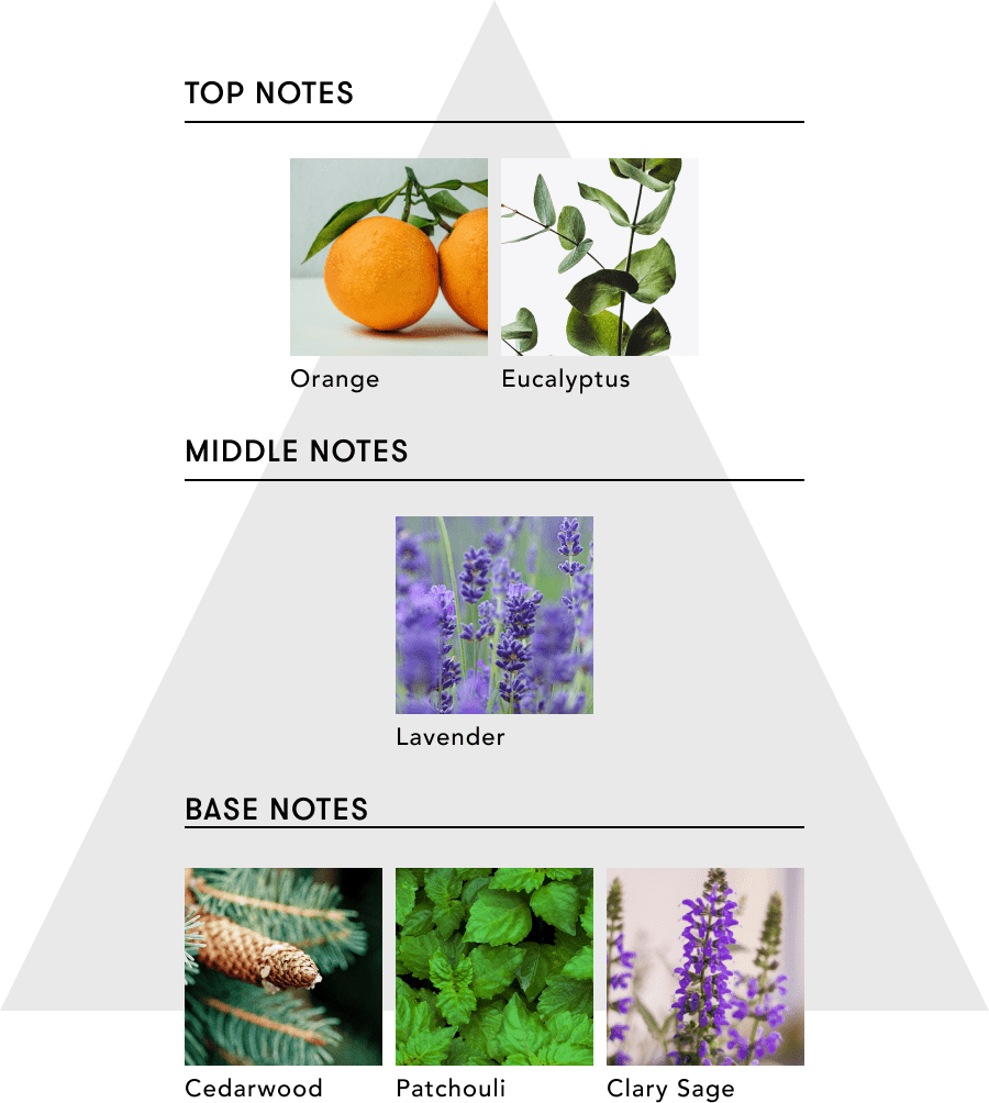 【Multi-Benefit-Oil】 Purification of Mind（心の浄化）